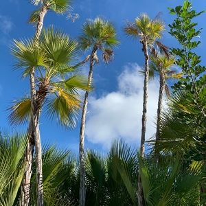 Meet your Posher, Cameron